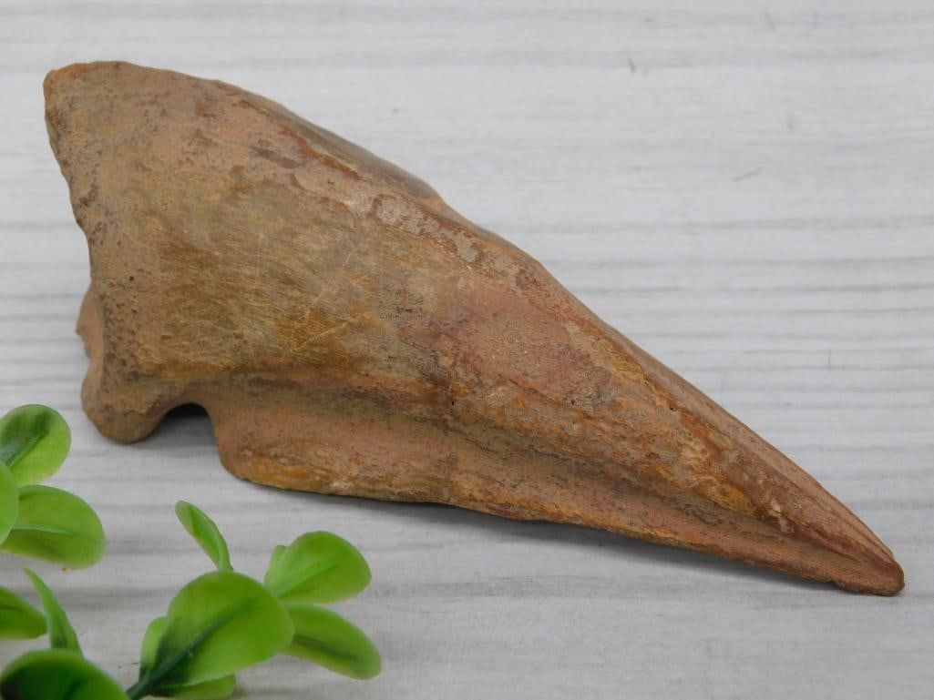 SPINOSAURUS TOE CLAW ROCK STONE LAPIDARY SPECIMEN (1 of 3)