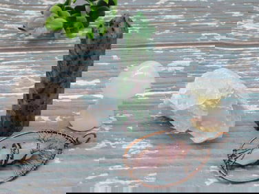 MIXED LOT ROCK STONE LAPIDARY SPECIMEN