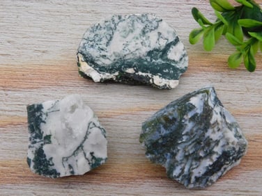 TREE AGATE ROCK STONE LAPIDARY SPECIMEN