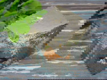 ILLUSTRIOUS SPANISH PYRITE CUBE ROCK STONE LAPIDARY SPECIMEN