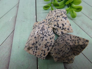 DALMATION JASPER ROCK STONE LAPIDARY SPECIMEN