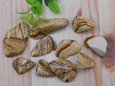 PICTURE JASPER ROCK STONE LAPIDARY SPECIMEN