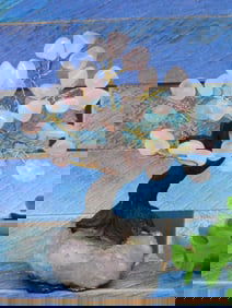 STONE TREE ROCK STONE LAPIDARY SPECIMEN