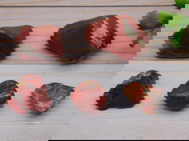 RED JASPER ROCK STONE LAPIDARY SPECIMEN