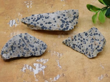 DALMATION JASPER ROCK STONE LAPIDARY SPECIMEN