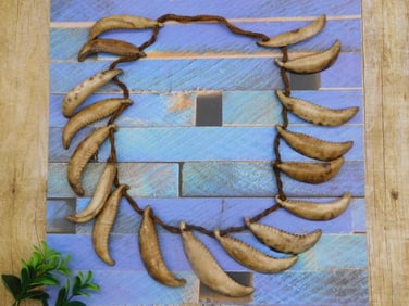 SHELL AFRICAN TRADE BEADS ROCK STONE LAPIDARY SPECIMEN