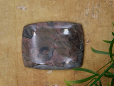 CABOCHON ROCK STONE LAPIDARY SPECIMEN
