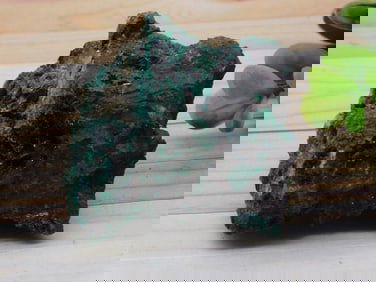 VELVET MALACHITE ROCK STONE LAPIDARY SPECIMEN