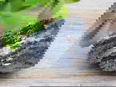 GALENA ROCK STONE LAPIDARY SPECIMEN