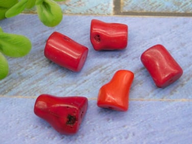 RED CORAL ROCK STONE LAPIDARY SPECIMEN