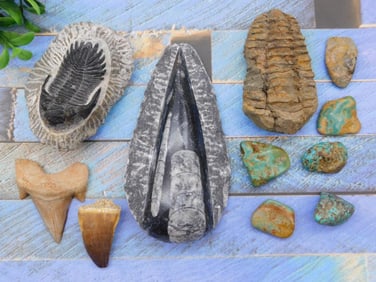 MIXED LOT ROCK STONE LAPIDARY SPECIMEN