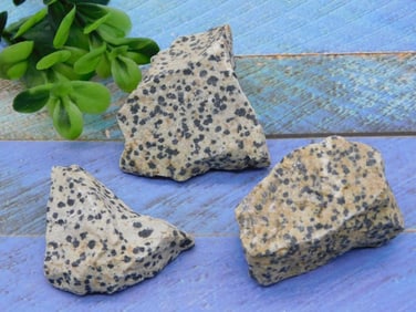 DALMATION JASPER ROCK STONE LAPIDARY SPECIMEN