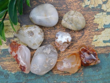 TUMBLED AGATE ROCK STONE LAPIDARY SPECIMEN