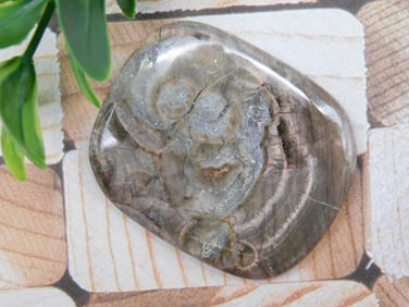 CABOCHON ROCK STONE LAPIDARY SPECIMEN