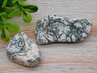 TREE AGATE ROCK STONE LAPIDARY SPECIMEN