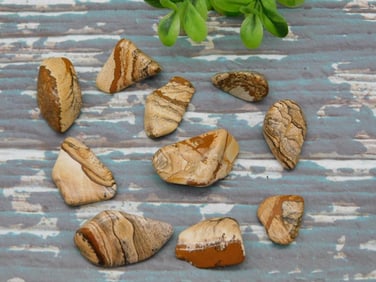 PICTURE JASPER ROCK STONE LAPIDARY SPECIMEN