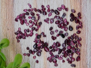 GARNET ROCK STONE LAPIDARY SPECIMEN