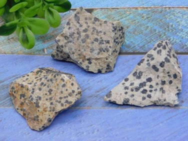 DALMATION JASPER ROCK STONE LAPIDARY SPECIMEN