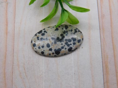 DALMATION JASPER CABOCHON ROCK STONE LAPIDARY SPECIMEN