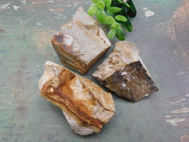JASPER ROCK STONE LAPIDARY SPECIMEN