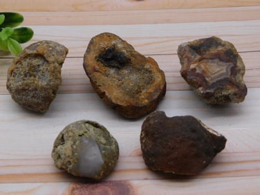 MIXED ROUGH LOT ROCK STONE LAPIDARY SPECIMEN