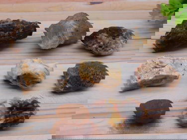 MIXED ROUGH LOT ROCK STONE LAPIDARY SPECIMEN