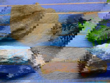 MIXED ROUGH LOT ROCK STONE LAPIDARY SPECIMEN