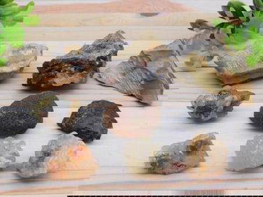 MIXED ROUGH LOT ROCK STONE LAPIDARY SPECIMEN