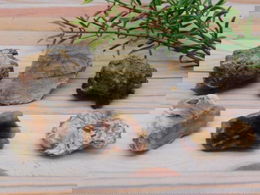 MIXED ROUGH LOT ROCK STONE LAPIDARY SPECIMEN