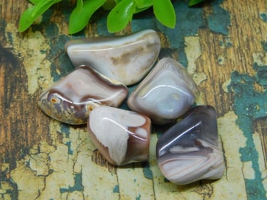 ROCK STONE LAPIDARY SPECIMEN