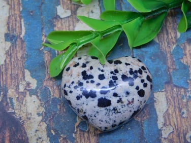 DALMATION JASPER HEART ROCK STONE LAPIDARY SPECIMEN