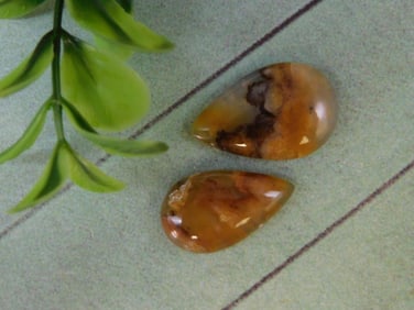 PLUME AGATE CABOCHONS ROCK STONE LAPIDARY SPECIMEN