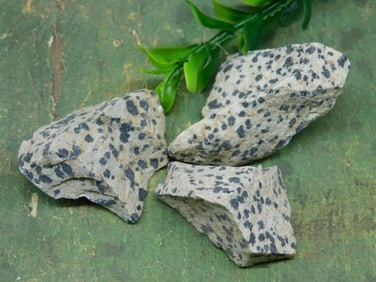 DALMATION JASPER ROCK STONE LAPIDARY SPECIMEN