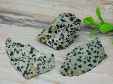 DALMATION JASPER ROCK STONE LAPIDARY SPECIMEN