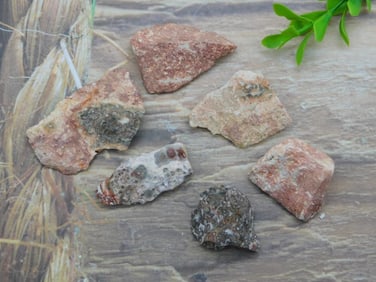 VIPER JASPER ROCK STONE LAPIDARY SPECIMEN