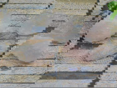 ROSE QUARTZ ROCK STONE LAPIDARY SPECIMEN