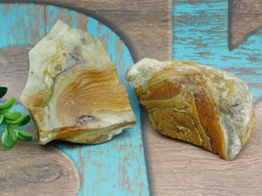 JASPER ROCK STONE LAPIDARY SPECIMEN