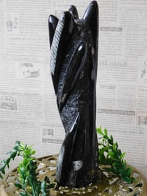 MIXED LOT ROCK STONE LAPIDARY SPECIMEN