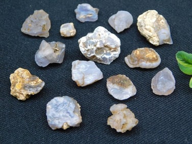 ELLENSBURG AGATE ROCK STONE LAPIDARY SPECIMEN