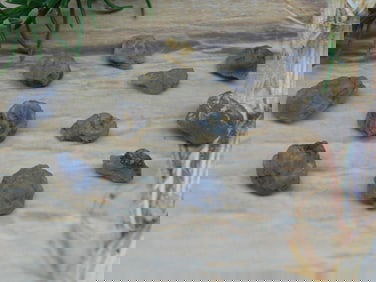 ELLENSBURG AGATE ROCK STONE LAPIDARY SPECIMEN