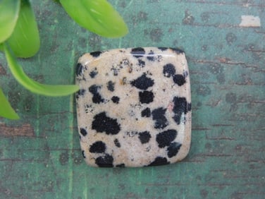 DALMATION JASPER CABOCHON ROCK STONE LAPIDARY SPECIMEN
