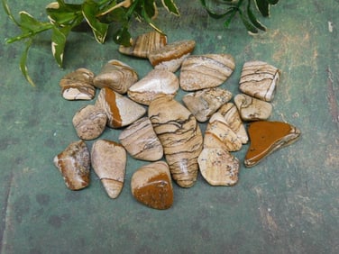 PICTURE JASPER ROCK STONE LAPIDARY SPECIMEN