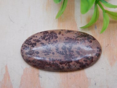COFFEE BEAN JASPER CABOCHON ROCK STONE LAPIDARY SPECIMEN