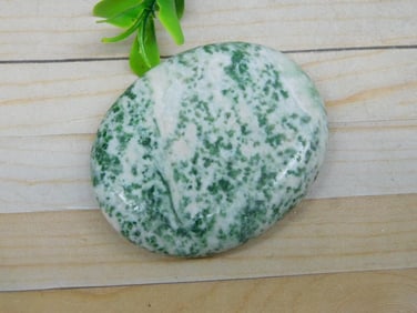 TREE AGATE WORRY STONE ROCK STONE LAPIDARY SPECIMEN