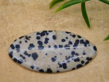 DALMATION JASPER CABOCHON ROCK STONE LAPIDARY SPECIMEN
