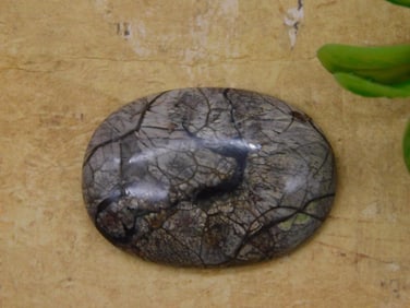 CABOCHON ROCK STONE LAPIDARY SPECIMEN
