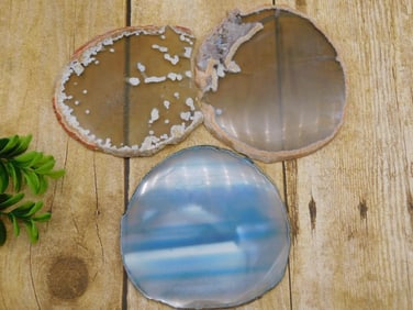 AGATE SLICES ROCK STONE LAPIDARY SPECIMEN