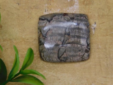 CABOCHON ROCK STONE LAPIDARY SPECIMEN