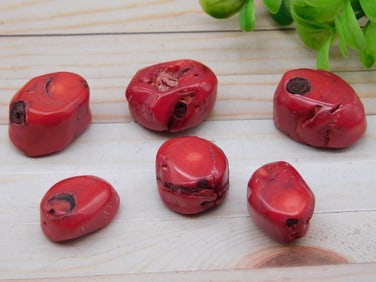 RED CORAL ROCK STONE LAPIDARY SPECIMEN