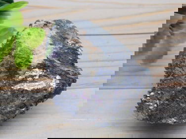 GALENA ROCK STONE LAPIDARY SPECIMEN